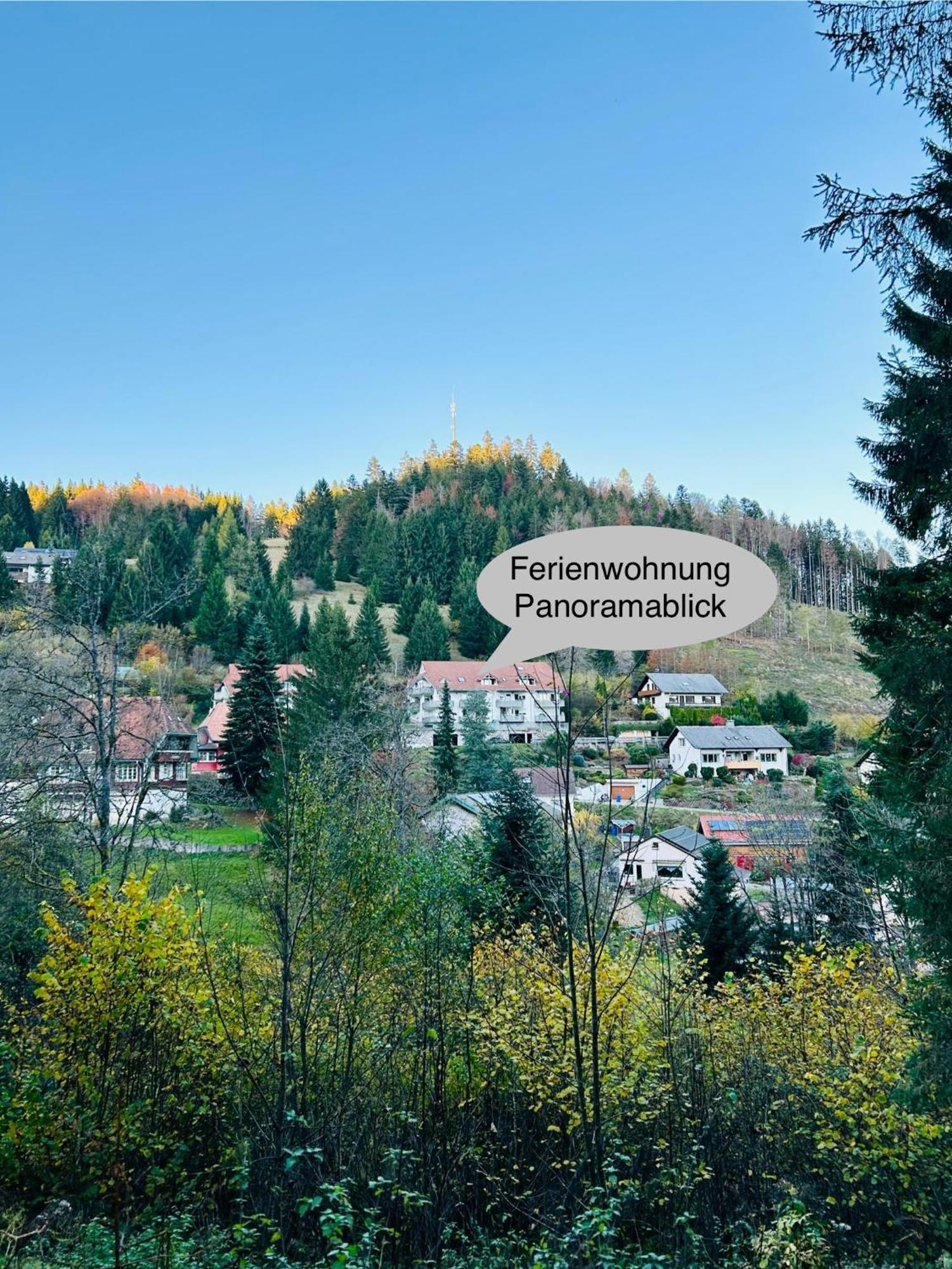 Ferienwohnung Panoramablick - Super Fuer Deine Familie Und Die Besten Aussicht In Ganz Todtmoos Eksteriør billede