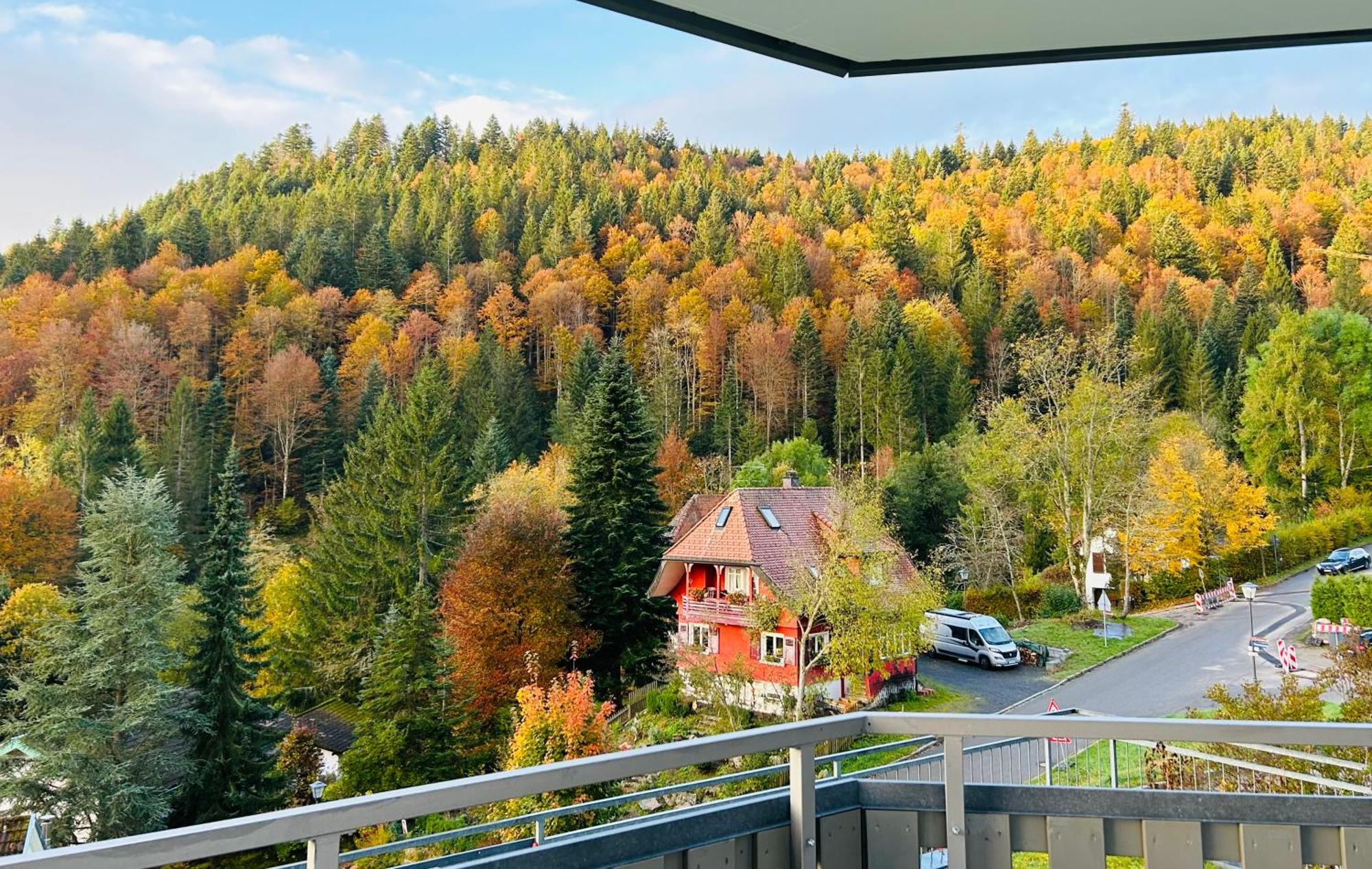 Ferienwohnung Panoramablick - Super Fuer Deine Familie Und Die Besten Aussicht In Ganz Todtmoos Eksteriør billede
