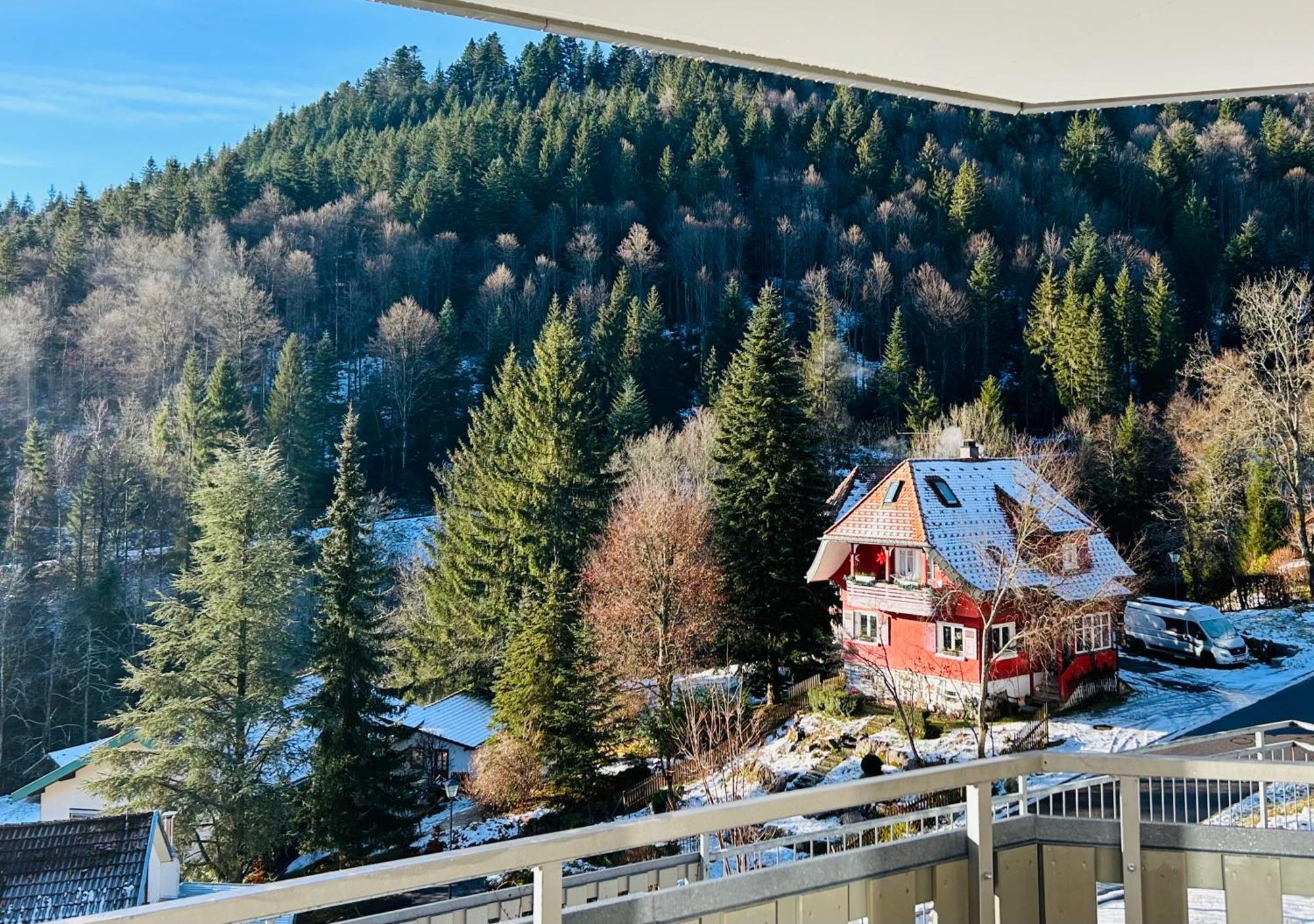 Ferienwohnung Panoramablick - Super Fuer Deine Familie Und Die Besten Aussicht In Ganz Todtmoos Eksteriør billede