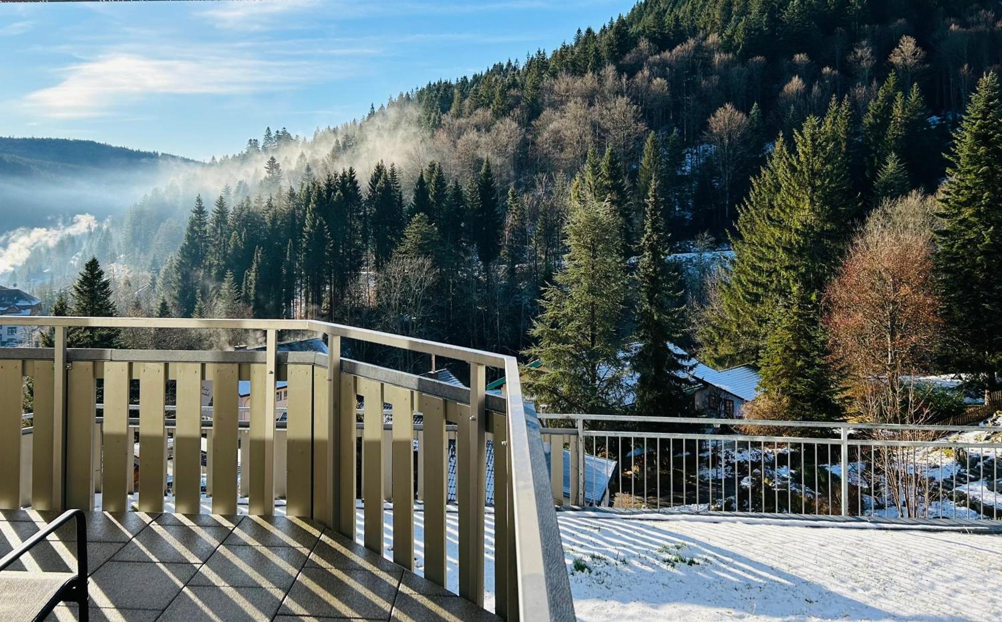 Ferienwohnung Panoramablick - Super Fuer Deine Familie Und Die Besten Aussicht In Ganz Todtmoos Eksteriør billede